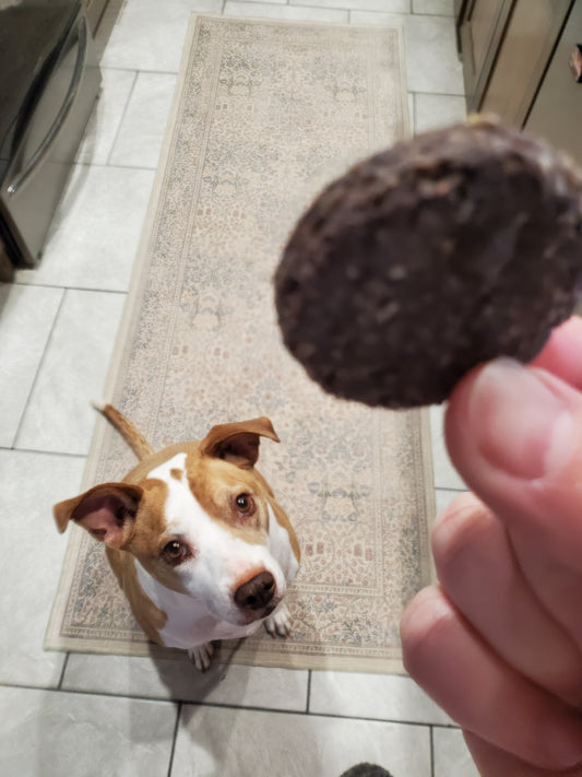 Dog looking up at a dog treat held by a hand on a kitchen floor.