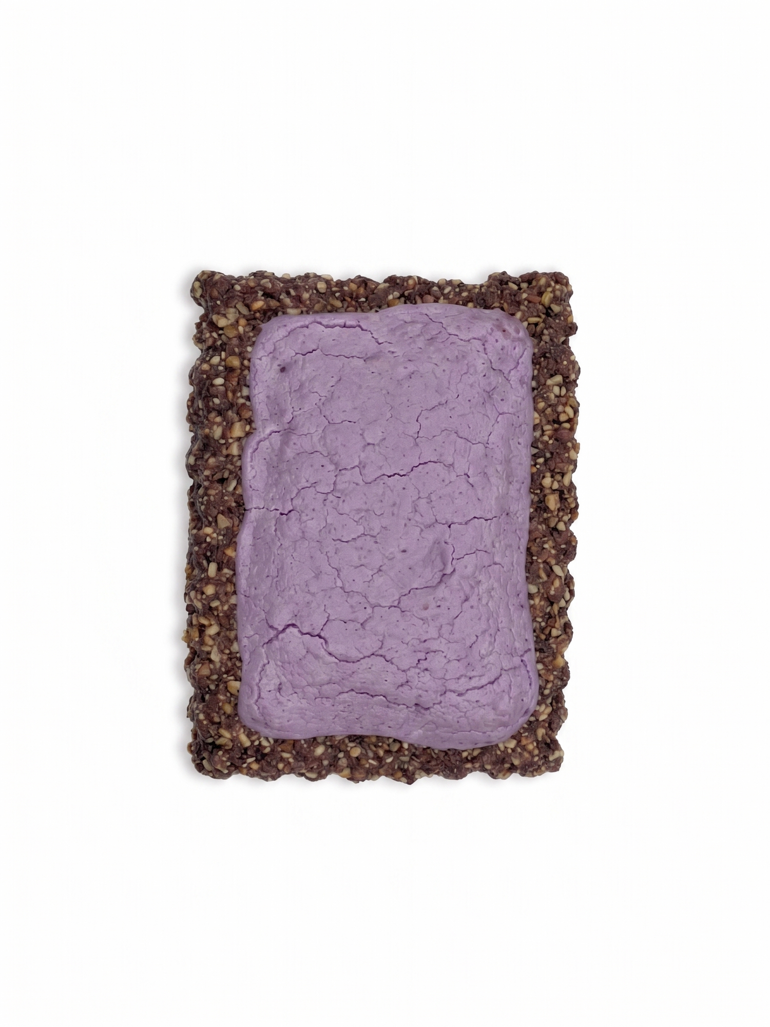 Blueberry puptart on a white background