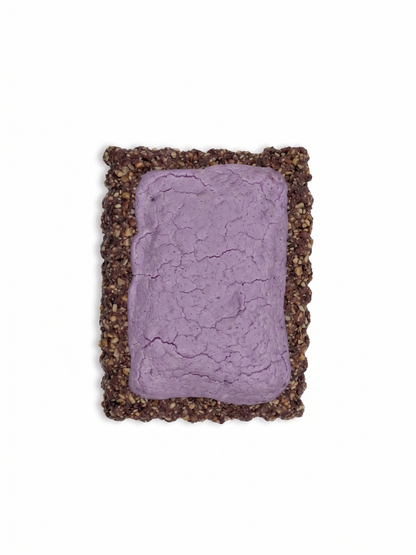 Blueberry puptart on a white background