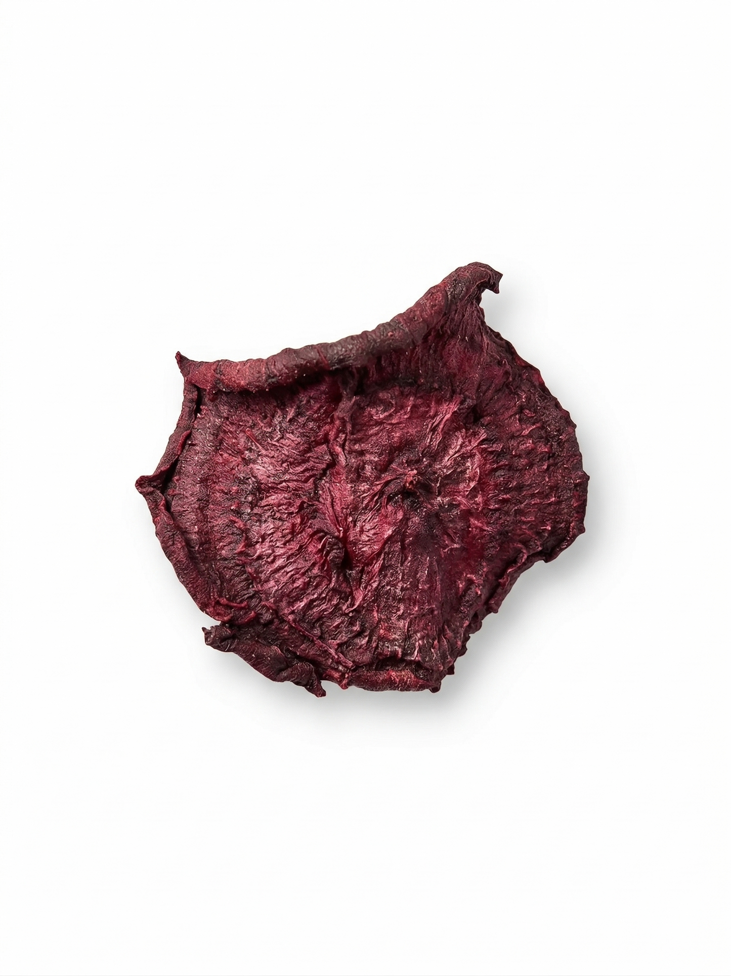 Dried beet on a white background