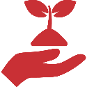 Red icon of a hand holding a sprout with two leaves on a white background