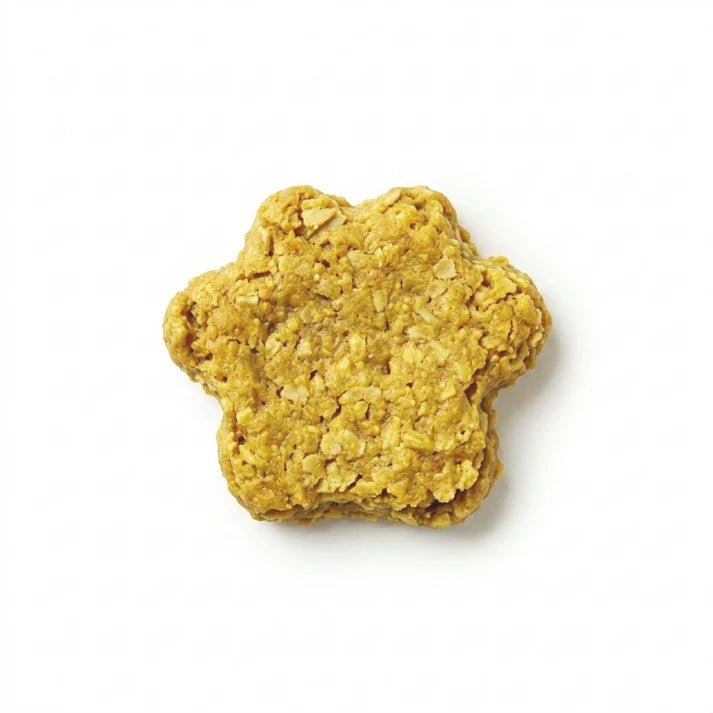 Dog treat shaped like a paw print on a white background